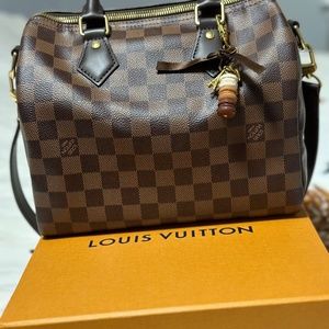 Louis Vuitton speedy 25 Damier